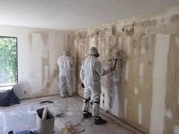 Best Mold Documentation for Insurance Claims  in Galena, KS